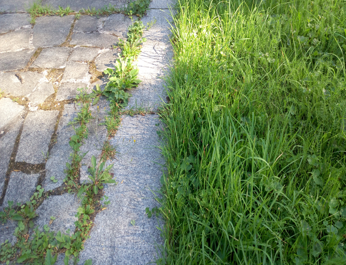 見切り石。庭や通路の砂利、芝生や乱形石などの境界線の縁石